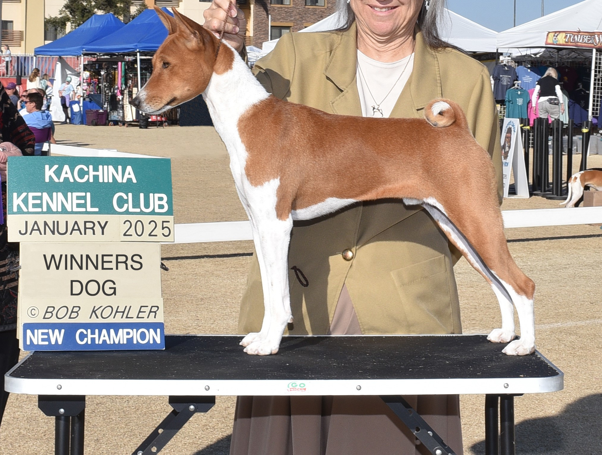 Tati, a male basenji