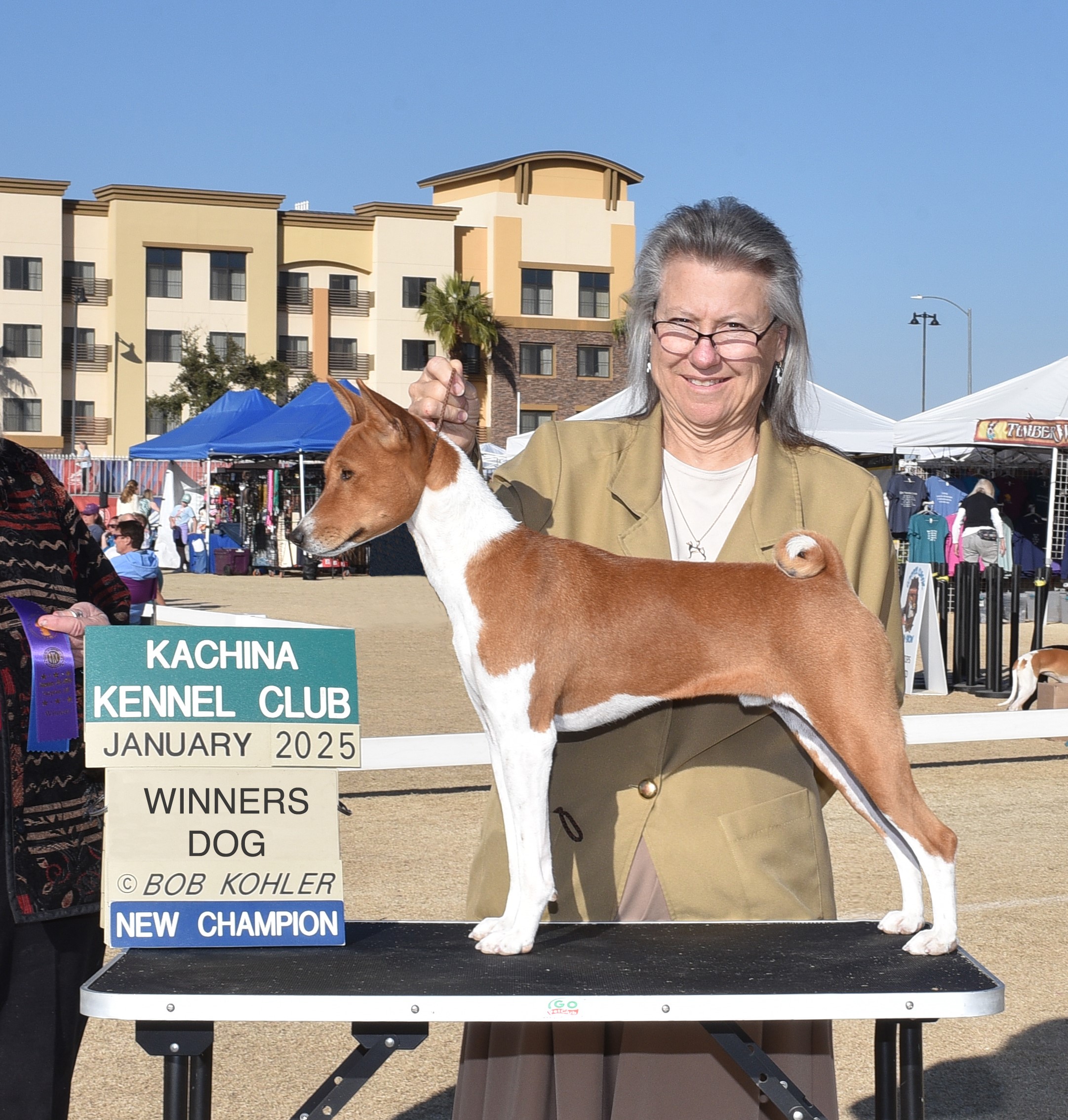 Tati, a male basenji